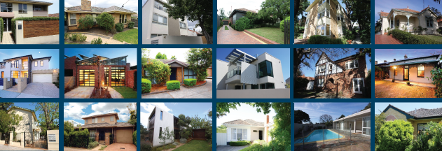 Our Portfolio Includes